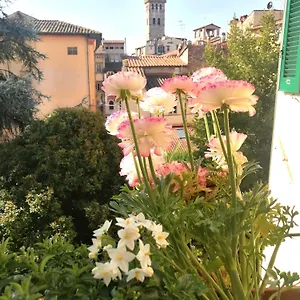 Evelina , Lucca Italia